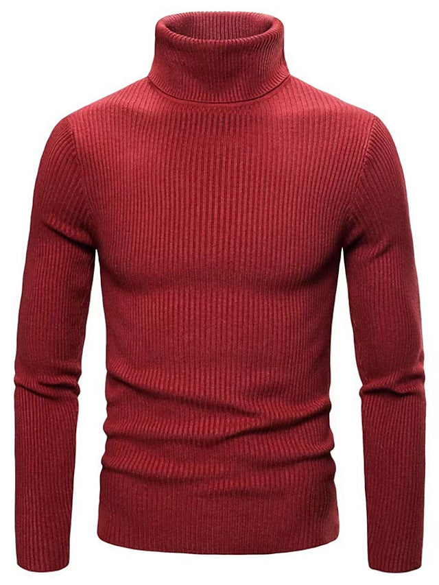 Pull à Col Roulé Homme Décontracté à Coupe Confortable