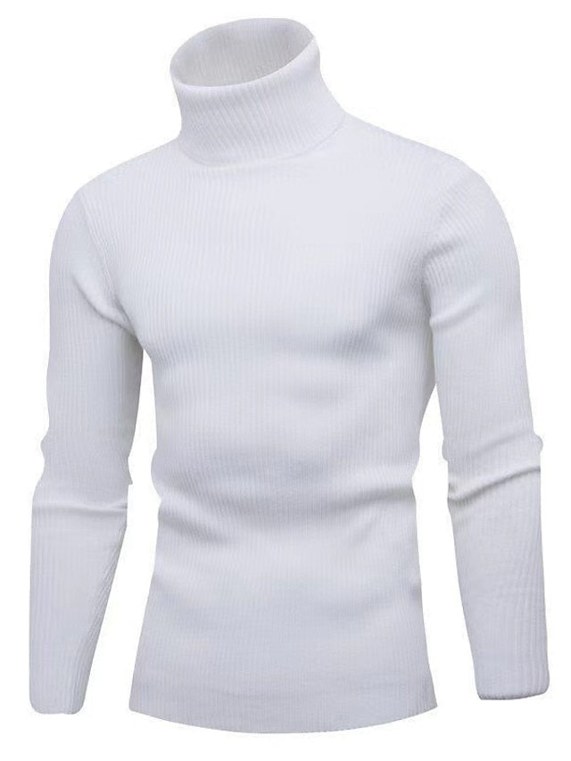 Pull à Col Roulé Homme Décontracté à Coupe Confortable
