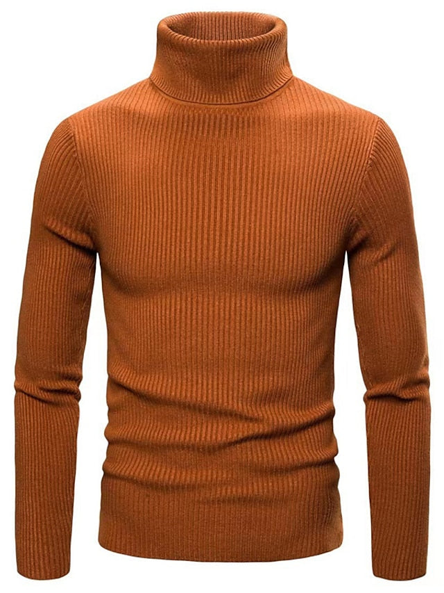 Pull à Col Roulé Homme Décontracté à Coupe Confortable